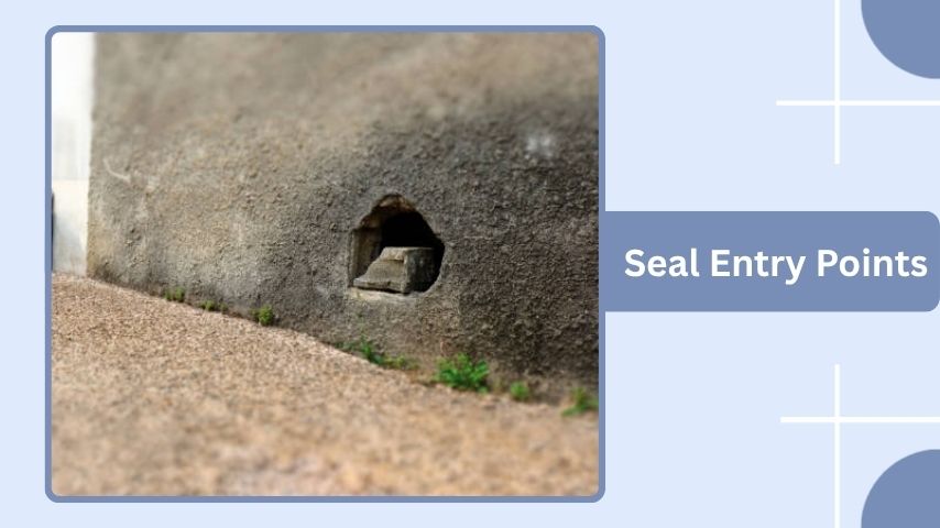 Seal Entry Points
