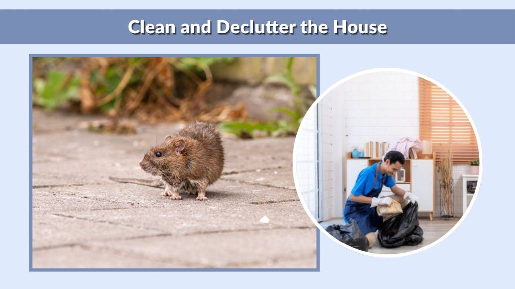 Clean and Declutter the House