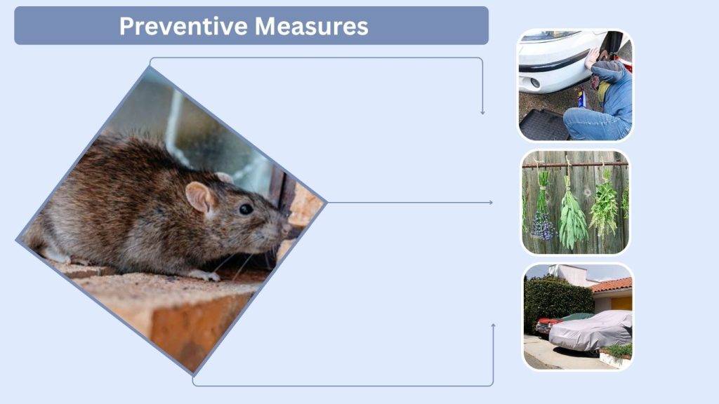 Preventive Measures
