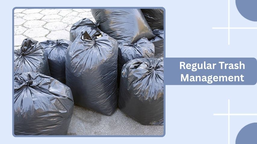 Regular Trash Management