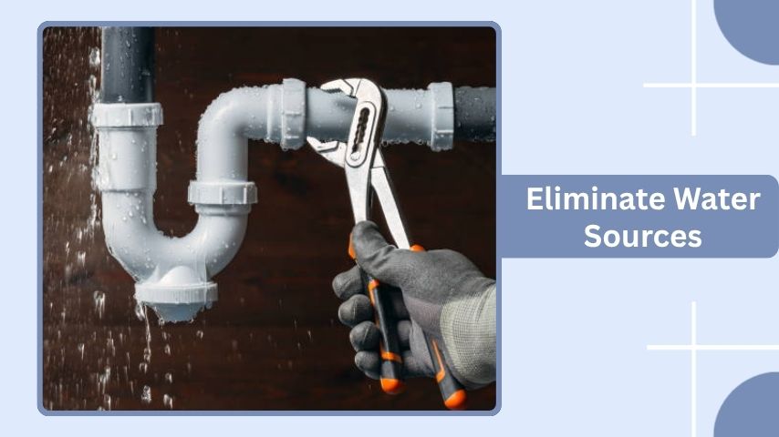 Eliminate Water Sources