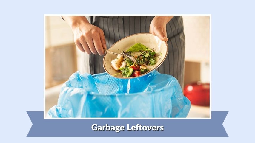Garbage Leftovers