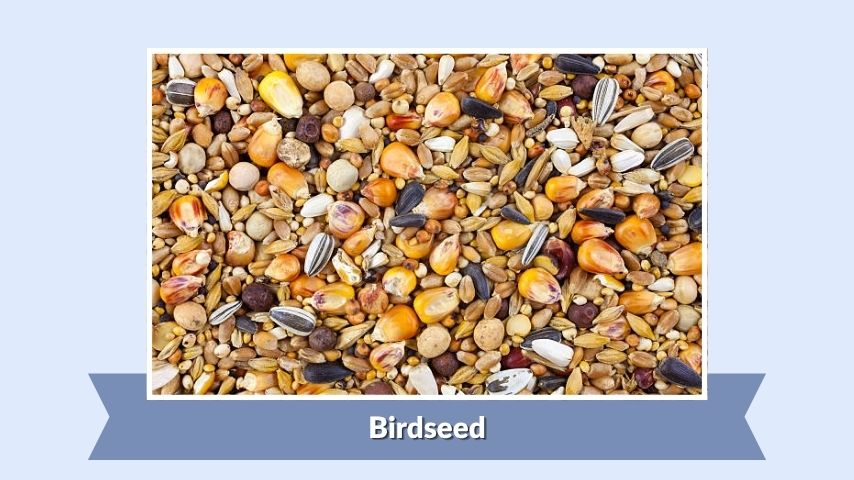 Birdseed