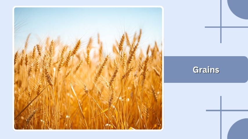 Grains