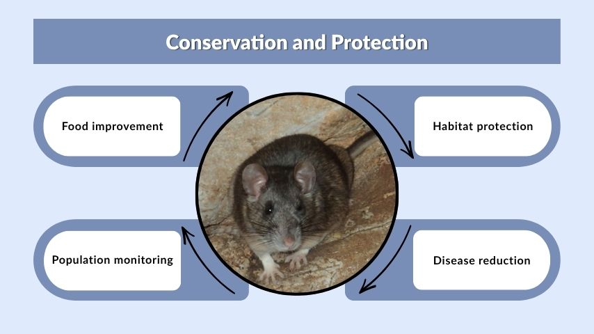 Conservation and Protection