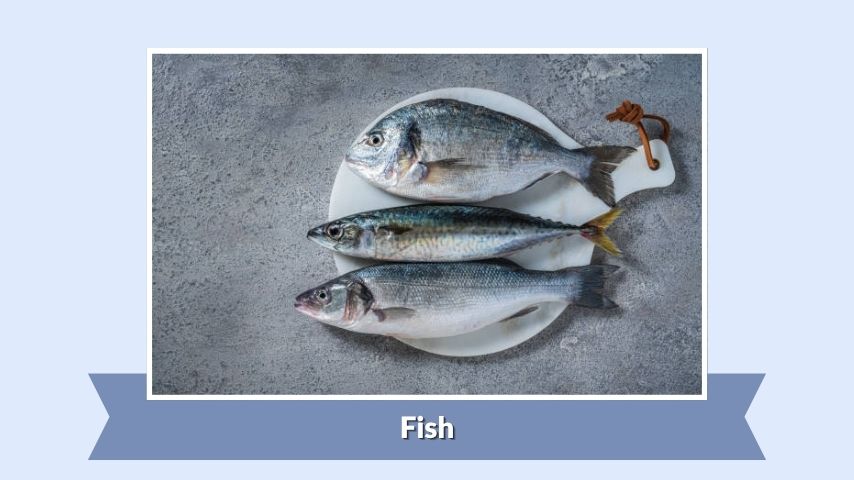 Fish