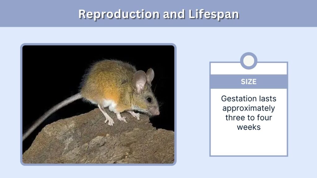 Reproduction and Lifespan