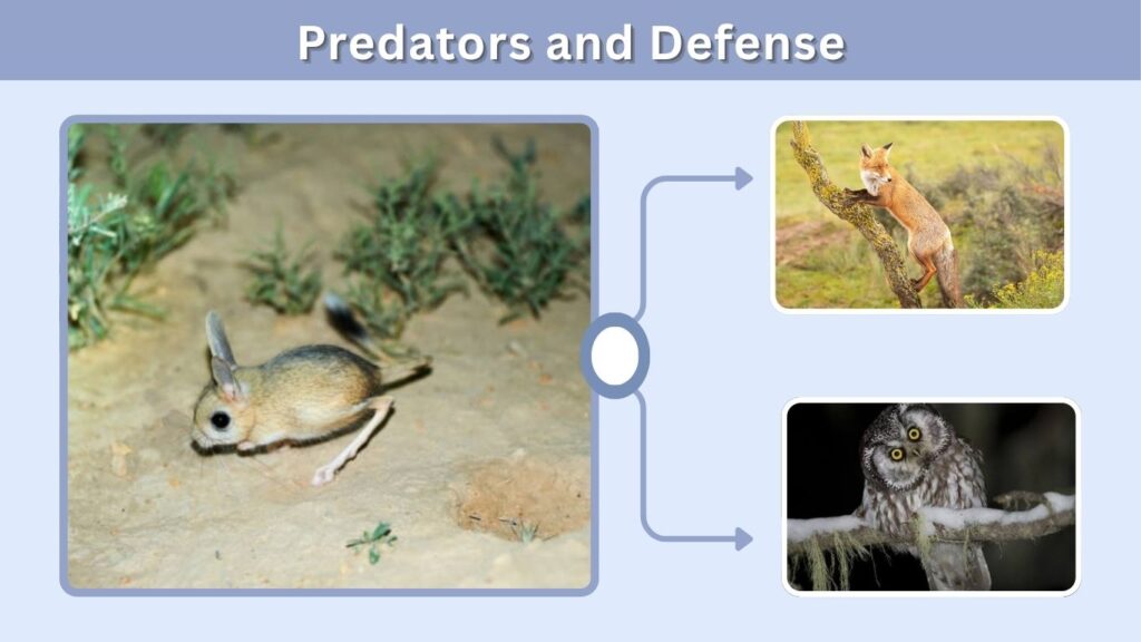 Predators and Defense