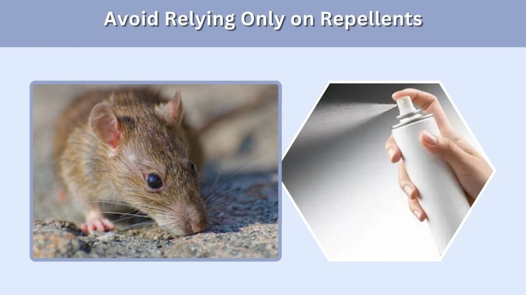 Avoid Relying Only on Repellents
