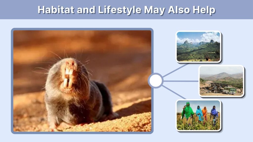 Habitat and Lifestyle May Also Help