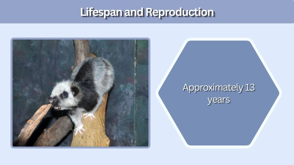 Lifespan and Reproduction